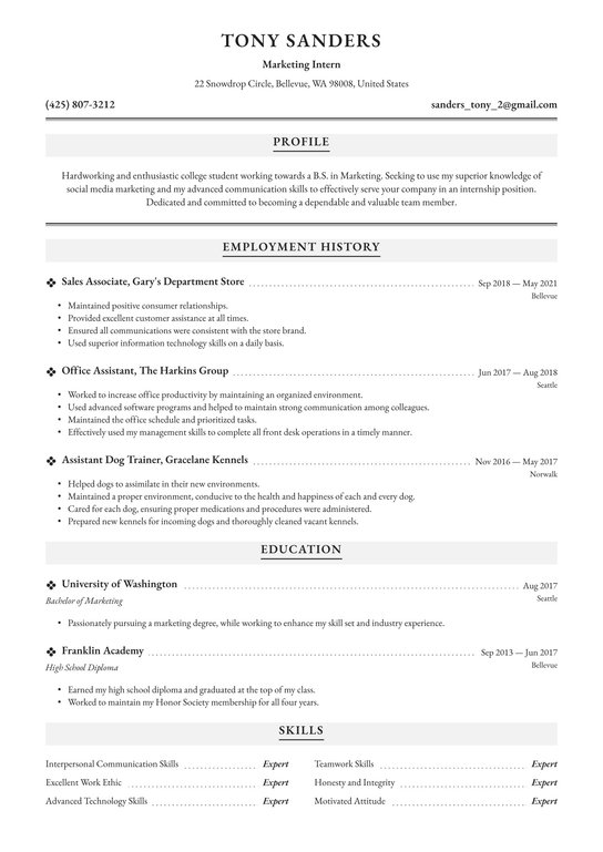 Internship resume template Google Docs Internship resume template Google Docs