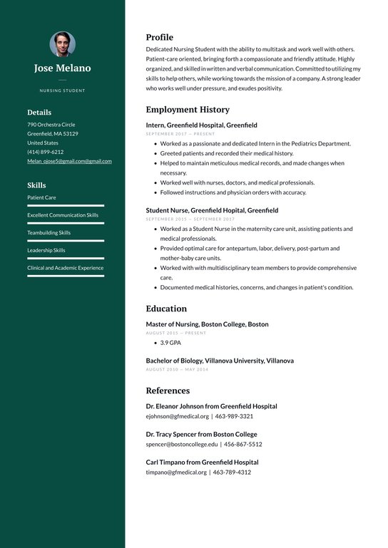 RN resume template free RN resume template free