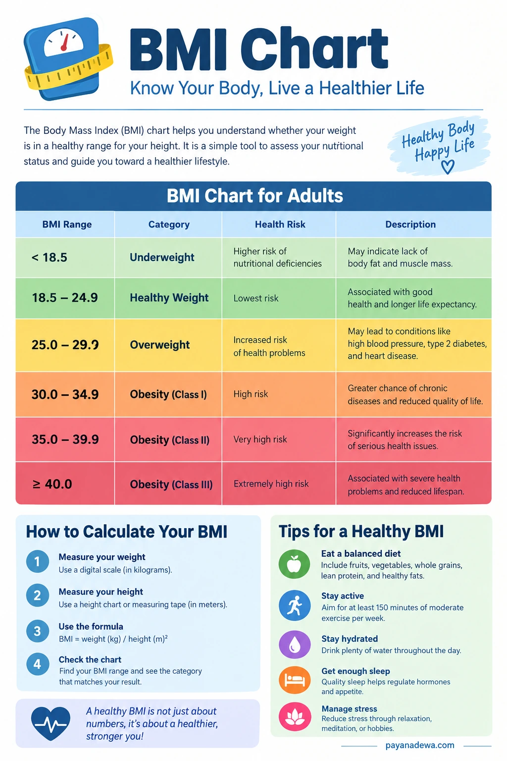BMI chart for adults showing body mass index ranges, weight categories, calculation steps, and healthy lifestyle tips.
