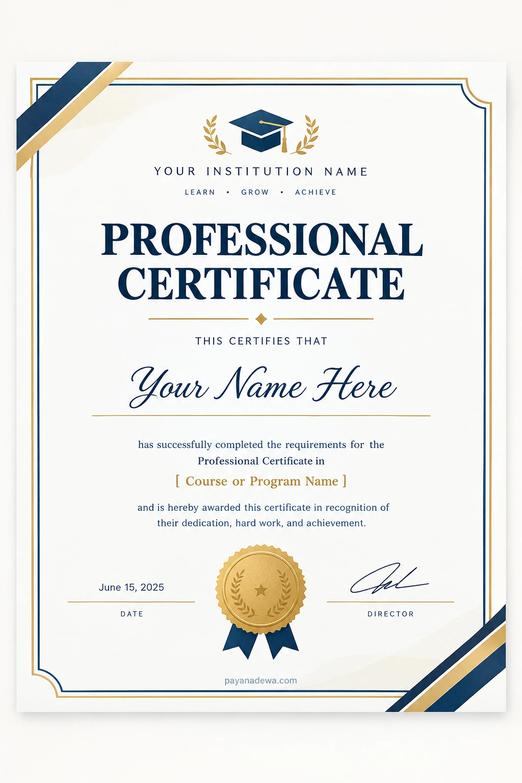 Professional Certificate Template Professional certificate template with an elegant navy blue and gold border, recipient name, course details, signature lines, and achievement seal.